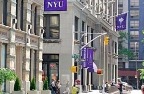 New York University