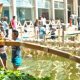 Architecture universities in South africa