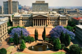Wits